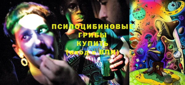 ГАЛЛЮЦИНОГЕННЫЕ ГРИБЫ Навашино