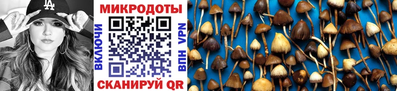 Псилоцибиновые грибы ЛСД  Ревда 