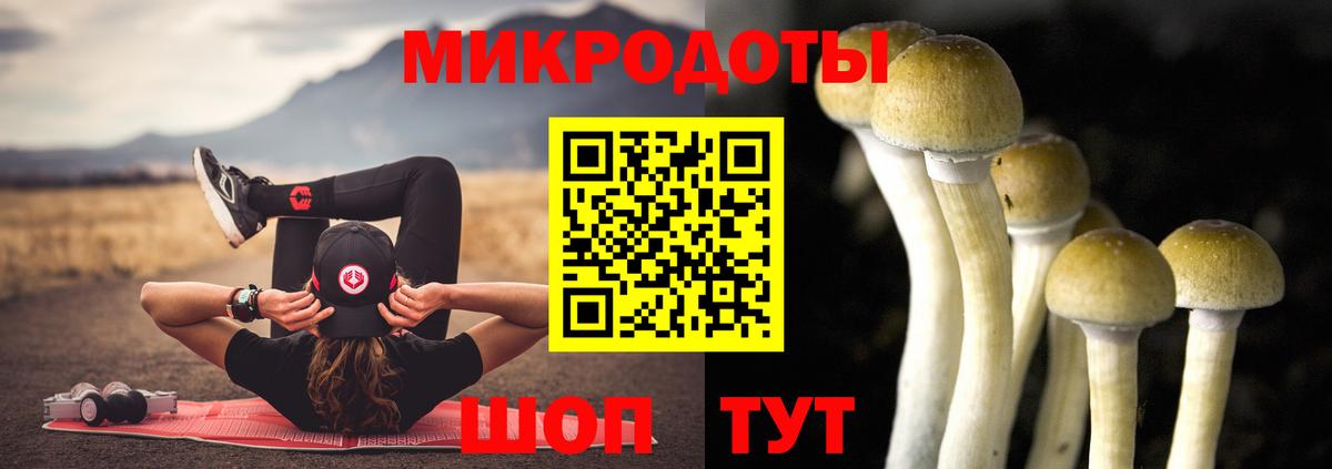 Ревда  Галлюциногенные грибы GOLDEN TEACHER  Вход с VPN  Псилоцибиновые грибы ЛСД 