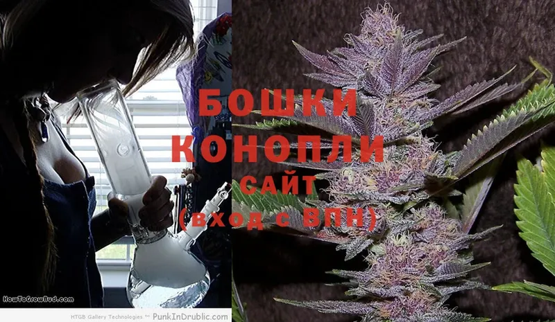 Бошки марихуана THC 21%  Ревда 